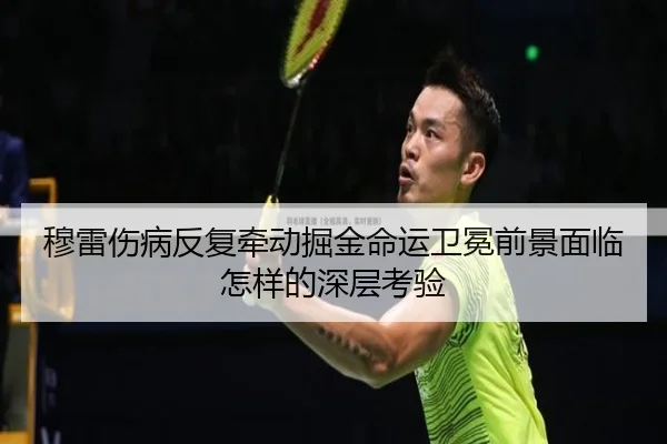 穆雷伤病反复牵动掘金命运卫冕前景面临怎样的深层考验