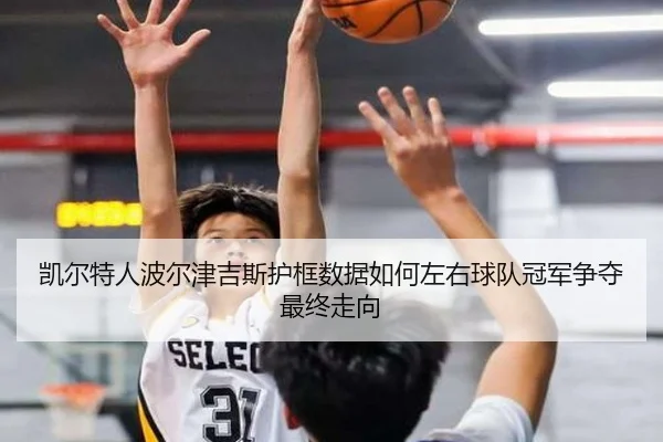 凯尔特人波尔津吉斯护框数据如何左右球队冠军争夺最终走向