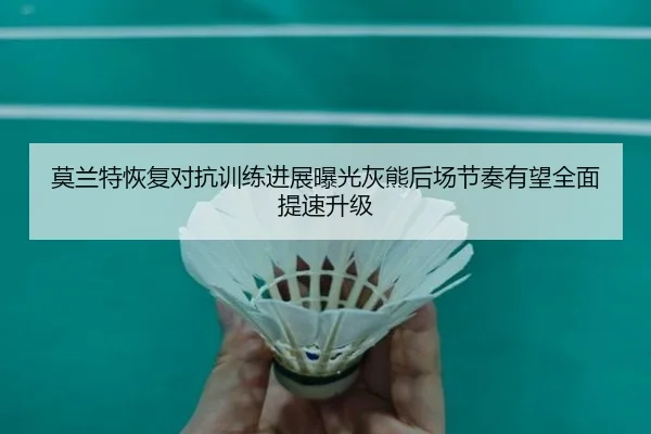 莫兰特恢复对抗训练进展曝光灰熊后场节奏有望全面提速升级